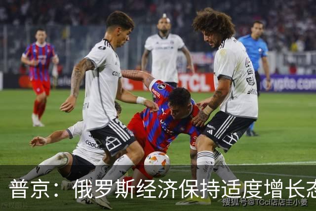 普京：俄罗斯经济保持适度增长态势